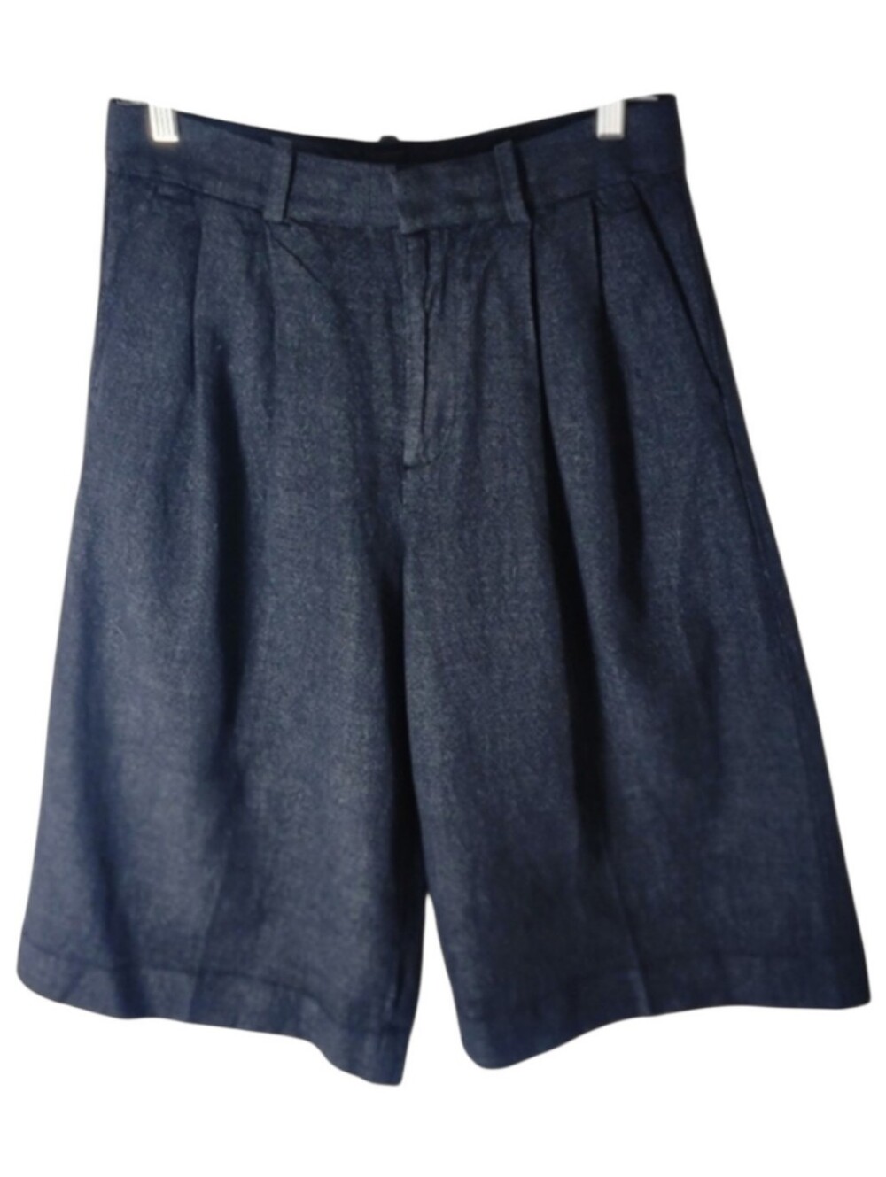 Banana Republic wool blend gaucho pants blue pleated wide leg women's size 2